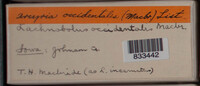 Image Associated With the Occurence